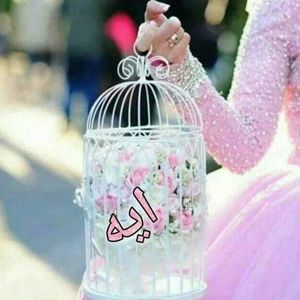 Meet your Posher, Aya